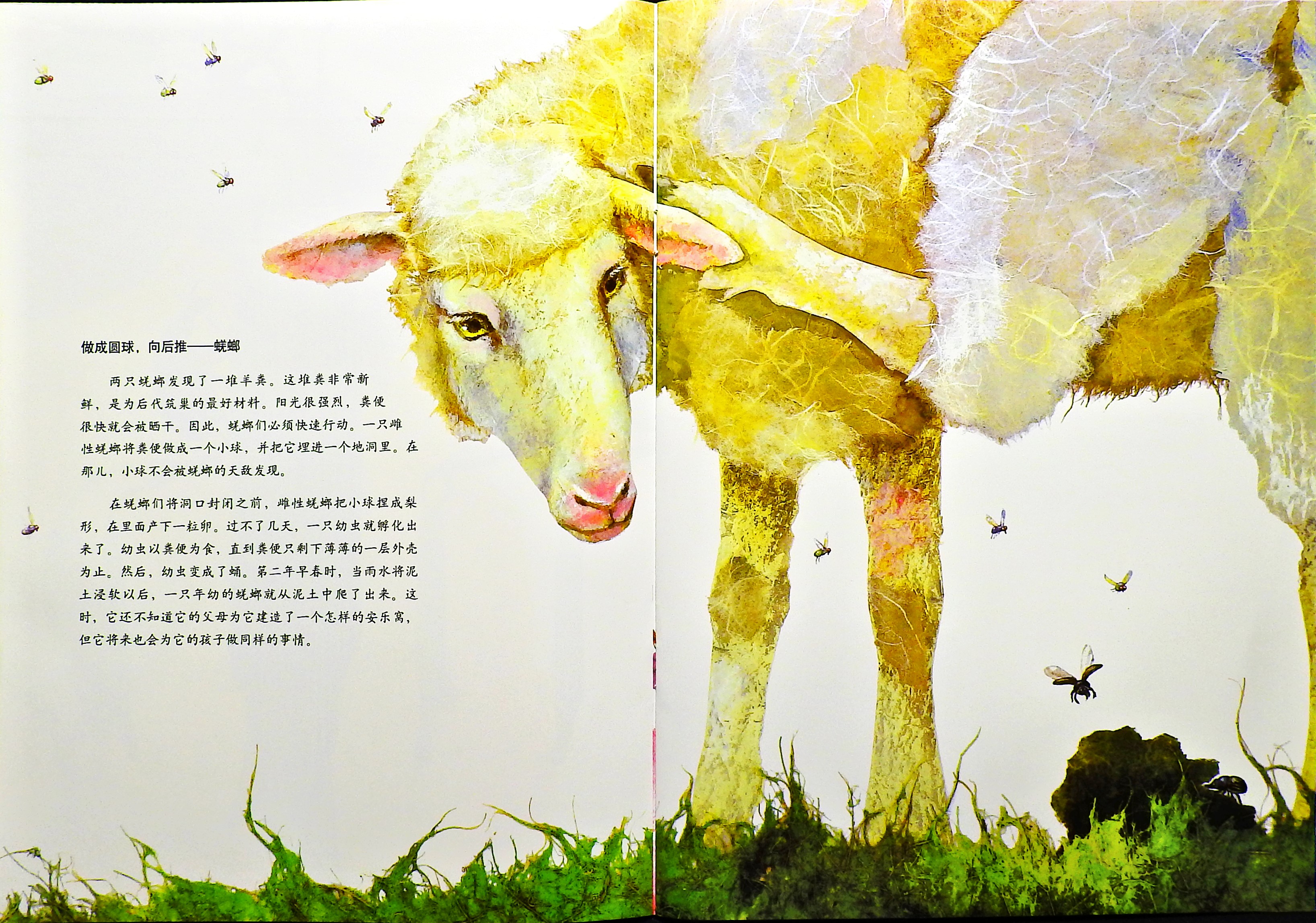 世界上最最温馨的家 (06),绘本,绘本故事,绘本阅读,故事书,童书,图画书,课外阅读